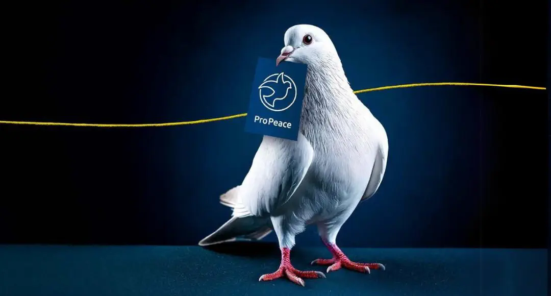 Foto: Sonja Kleffner